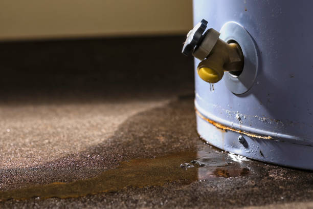 Best Sewage cleanup and water damage restoration  in Montgomery Village, MD