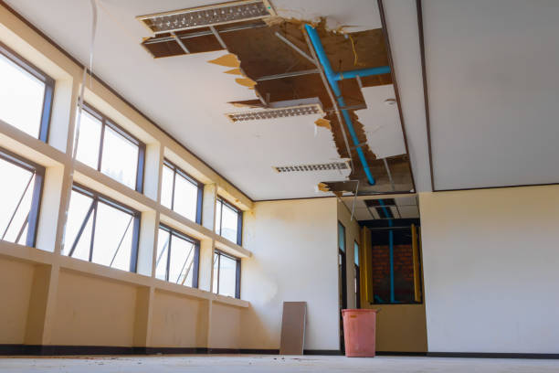 Best Carpet water damage restoration  in Montgomery Village, MD