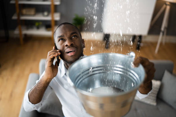 Best Flood restoration services  in Montgomery Village, MD