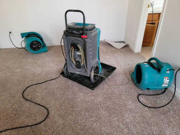 Best Water damage repair service  in Montgomery Village, MD