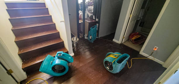 Best Commercial water damage restoration  in Montgomery Village, MD