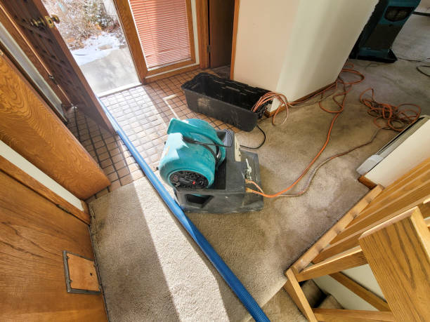 Best Residential water damage restoration  in Montgomery Village, MD