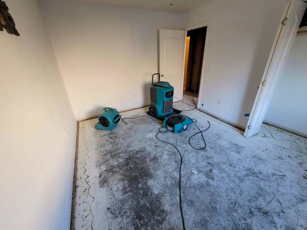 Best Flood damage cleanup  in Montgomery Village, MD