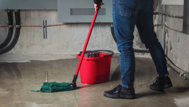 Best Carpet water damage restoration  in Montgomery Village, MD