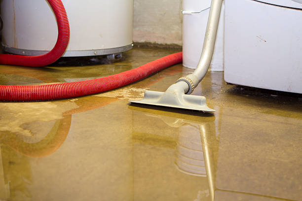  Montgomery Village, MD Water damage restoration Pros