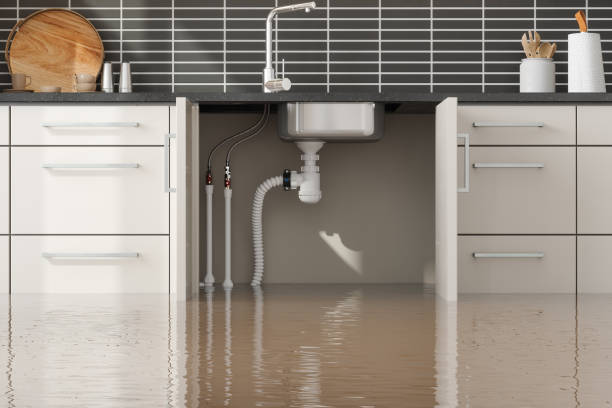 Best Water damage restoration near me  in Montgomery Village, MD